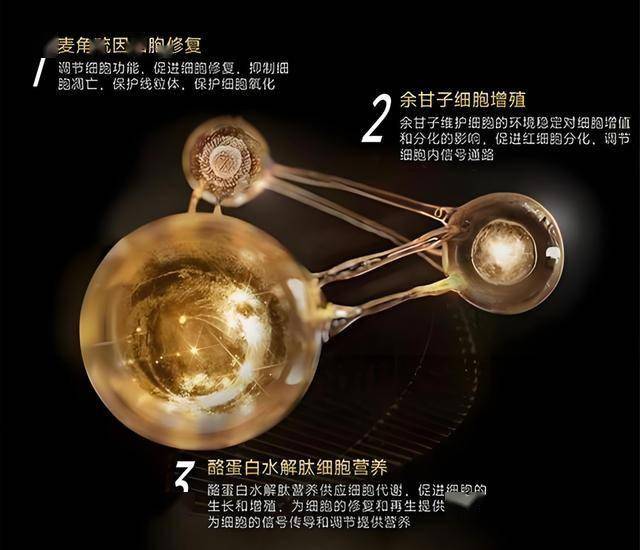 xm外汇代理佣金多少xm外汇账户的监管到底是谁在把关？你了解吗？